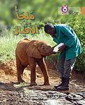 Cover of 'Elephant Sanctuary' by Collins UK