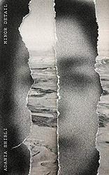 Cover of 'Minor Detail' by Adania Shibli