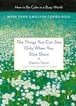 Cover of 'The Things You Can See Only When You Slow Down' by Haemin Sunim