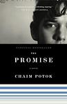 Cover of 'The Promise' by Chaim Potok