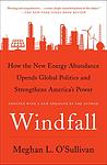 Cover of 'Windfall' by Meghan L. Osullivan