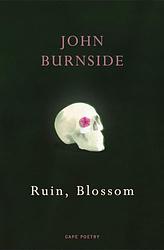 Cover of 'Ruin, Blossom' by John Burnside