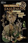 Cover of 'The Sandman, Vol. 10' by Neil Gaiman