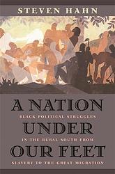 Cover of 'A Nation under Our Feet' by Steven Hahn