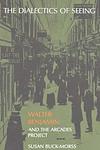 Cover of 'The Dialectics Of Seeing' by Susan Buck-Morss