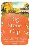 Cover of 'Big Stone Gap' by Adriana Trigiani