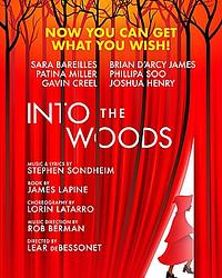 Cover of 'Into The Woods' by Anna Krien