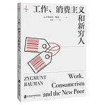 Cover of 'Work, Consumerism And The New Poor' by Zygmunt Bauman