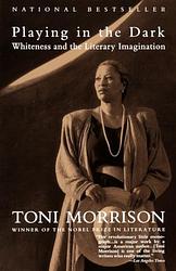 Cover of 'Playing In The Dark' by Toni Morrison