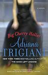 Cover of 'Big Cherry Holler' by Adriana Trigiani