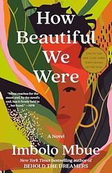 Cover of 'How Beautiful We Were' by Imbolo Mbue