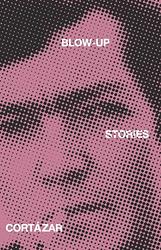 Cover of 'Blow Up And Other Stories' by Julio Cortazar