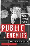 Cover of 'Public Enemies' by Bryan Burrough