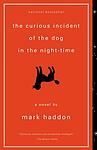 Cover of 'The Curious Incident of the Dog in the Night-time' by Mark Haddon