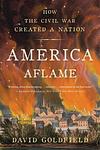 Cover of 'America Aflame' by David R. Goldfield