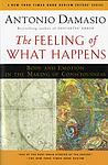 Cover of 'The Feeling Of What Happens' by Antonio Damasio