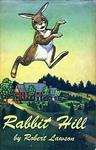 Cover of 'Rabbit Hill' by Jenny  Lawson