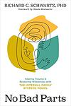 Cover of 'No Bad Parts' by Richard Schwartz