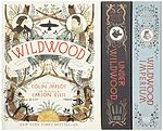 Cover of 'Under Wildwood' by Colin Meloy