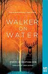 Cover of 'Walker On Water' by Kristiina Ehin