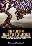 Cover of 'The Centaur' by Algernon Blackwood