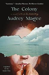 Cover of 'The Colony' by Audrey Magee