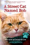 Cover of 'A Street Cat Named Bob' by James Bowen