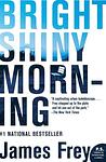 Cover of 'Bright Shiny Morning' by James Frey