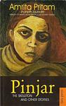 Cover of 'The Skeleton' by Amrita Pritam