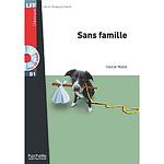 Cover of 'Sans Famille' by Hector Malot