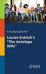 Cover of 'The Antelope Wife' by Louise Erdrich
