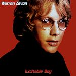 Cover of 'Excitable Boy' by Dominic Gordon