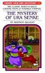 Cover of 'The Mystery Of Ura Senke' by Shannon Gilligan