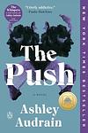 Cover of 'The Push' by Ashley Audrain