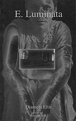 Cover of 'E. Luminata' by Diamela Eltit