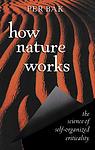 Cover of 'How Nature Works' by Per Bak