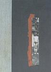 Cover of 'Nox' by Anne Carson