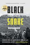 Cover of 'Black Snake' by Katherine Wiltenburg Todrys
