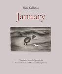 Cover of 'January' by Sara Gallardo