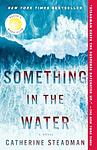 Cover of 'Something In The Water' by Catherine Steadman