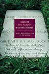 Cover of 'Shelley' by Richard Holmes