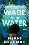 Cover of 'Wade In The Water' by Nyani Nkrumah