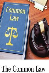 Cover of 'The Common Law' by Oliver Wendell Holmes Jr.