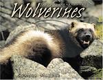 Cover of 'Wolverines' by Sandra Markle