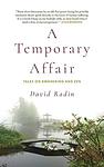 Cover of 'A Temporary Affair' by David Radin