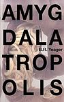 Cover of 'Amygdalatropolis' by B.R. Yeager