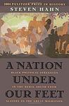 Cover of 'A Nation under Our Feet' by Steven Hahn