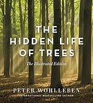 Cover of 'Tree' by David Suzuki