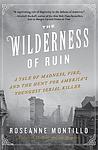 Cover of 'The Wilderness Of Ruin' by Roseanne Montillo