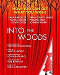 Cover of 'Into The Woods' by Anna Krien